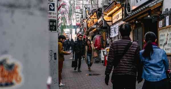 蜜蜂加速器电脑下载