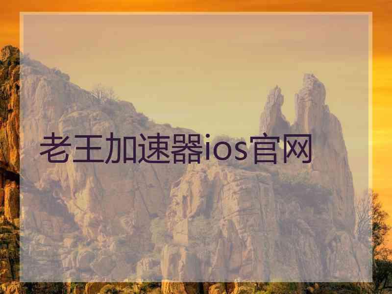 老王加速器ios官网